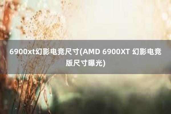 6900xt幻影电竞尺寸(AMD 6900XT 幻影电竞版尺寸曝光)