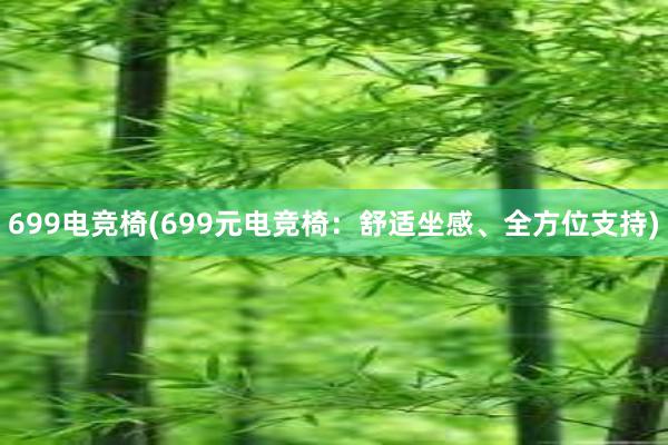 699电竞椅(699元电竞椅：舒适坐感、全方位支持)