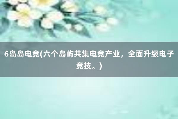 6岛岛电竞(六个岛屿共集电竞产业，全面升级电子竞技。)