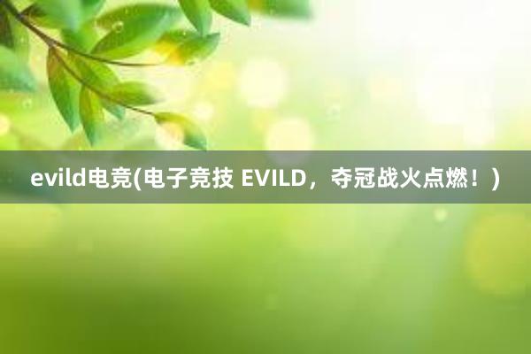 evild电竞(电子竞技 EVILD，夺冠战火点燃！)