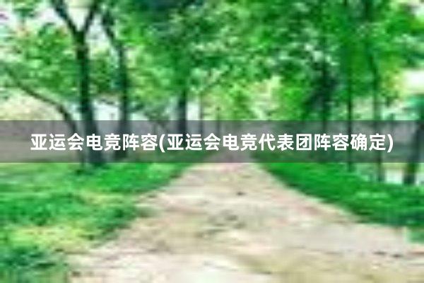 亚运会电竞阵容(亚运会电竞代表团阵容确定)