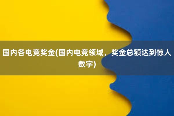 国内各电竞奖金(国内电竞领域，奖金总额达到惊人数字)