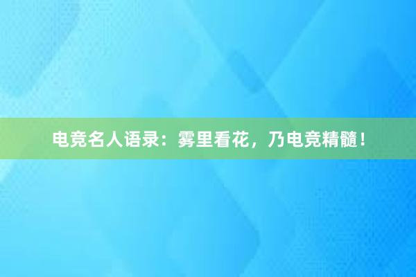 电竞名人语录：雾里看花，乃电竞精髓！