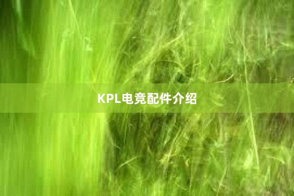 KPL电竞配件介绍