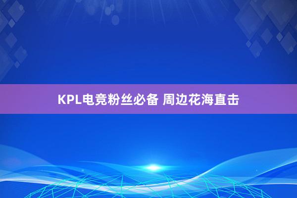 KPL电竞粉丝必备 周边花海直击