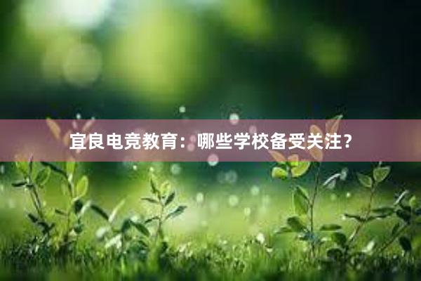 宜良电竞教育：哪些学校备受关注？