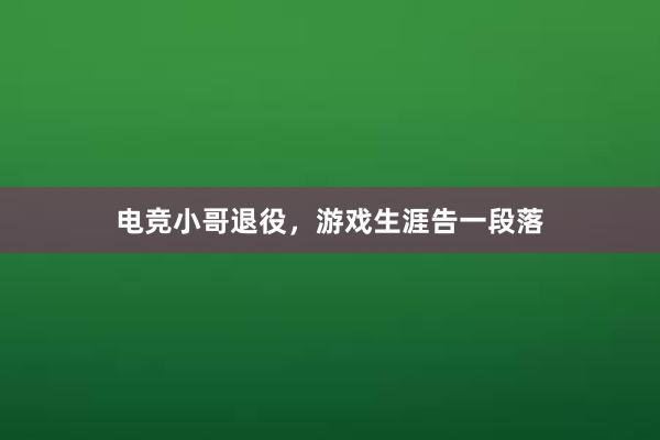 电竞小哥退役，游戏生涯告一段落