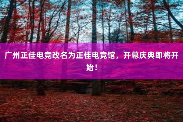 广州正佳电竞改名为正佳电竞馆，开幕庆典即将开始！