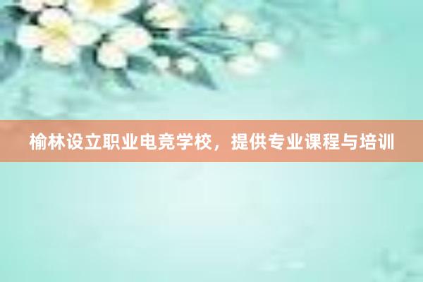 榆林设立职业电竞学校，提供专业课程与培训