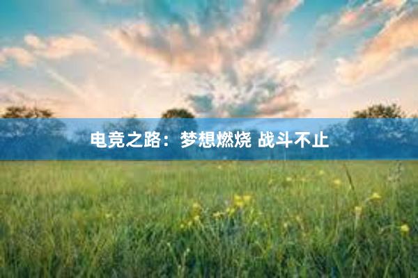 电竞之路：梦想燃烧 战斗不止