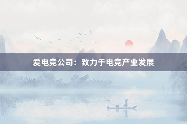 爱电竞公司：致力于电竞产业发展